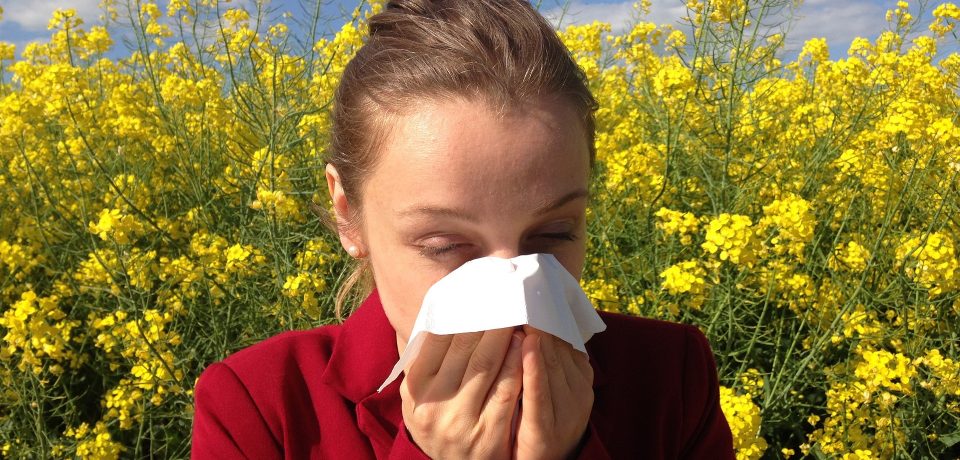 Povećana koncentracija polena u vazduhu